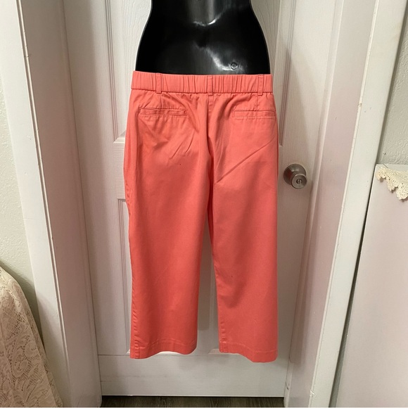 Petite Coral Capri Pants Womens 14P Elastic Waist Kim Rogers GrannyCore Relaxed - Picture 4 of 5